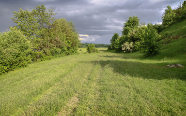 Field in the road among the hills. Landscape in nature in the reserve in the park. Stock photo background