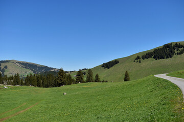 Fototapeta na wymiar Schwägalp in der Schweiz Panorama 7.5.2020