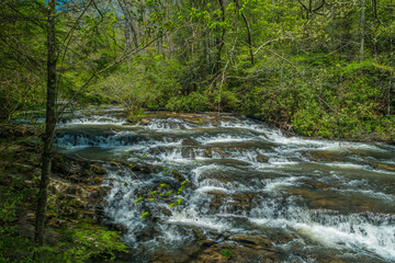 Fototapeta na wymiar Tumbling waters trail in Ellijay, Georgia
