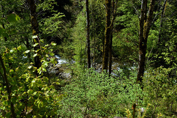 Naturlandschaft in der Schweiz 7.5.2020