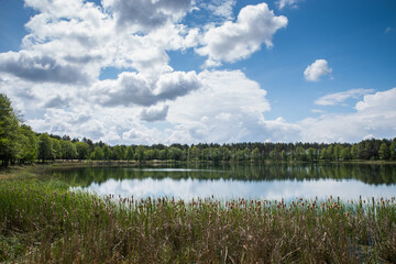 Fototapeta na wymiar A quiet lake near a green forest under a blue cloudy sky