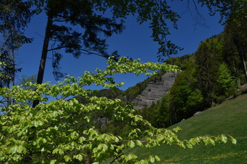 Naturlandschaft in der Schweiz 7.5.2020