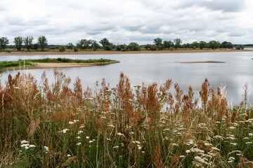 Elbtalaue bei Hitzacker