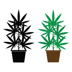 medical marijuana or cannabis leaf  in pot, plant icon