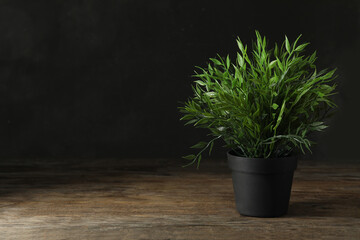 Artificial plant in flower pot on wooden table. Space for text
