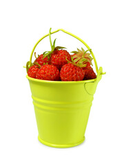 Small yellow metal bucket with wild strawberries isolated on white background      