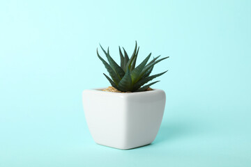 Artificial plant in flower pot on light blue background