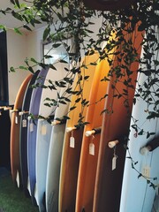 Stacked Surf