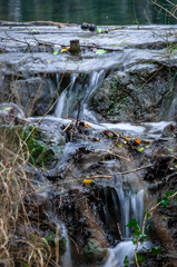stream in the forest