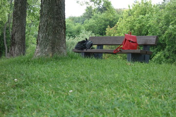 Empty wooden bench in park with two women bags on it