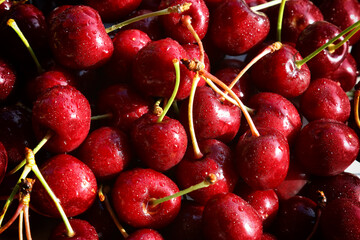 Fresh red cherries, fruits of the summer season