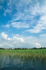 Obraz premium Beautiful mirror lake with green reeds. A little rain drizzles and falls into the water. Stock landscape for design.