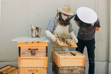 beekeeping in the city on the roof of the building, honey plate detail