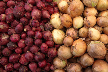 Red and white onions in the grocery