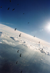 Group of people skydiving diving in blue sky