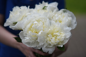 Bouquet of white peonies