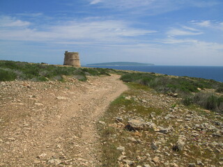Fototapeta na wymiar Landscape with the road leading to the defence tower in Cap de Barbaria, Formentera island, Spain