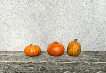Autumn orange pumpkins on old wooden table against white wall. Organic food and healthy food. Thanksgiving and Halloween concept.