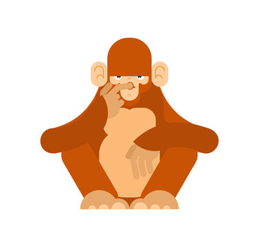 Monkey thinks isolated. Chimpanzee ponders vector illustration 