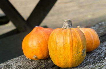 Autumn orange pumpkins on rustic wooden table closeup. Organic food and healthy food. Thanksgiving and Halloween concept.