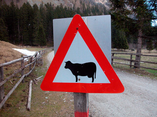Attention cows crossing traffic sign