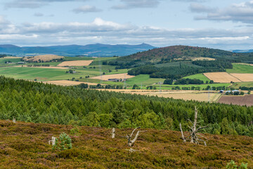 Barmekin Hill