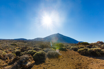 Teide National Park, Tenerife, Canary Islands, Spain