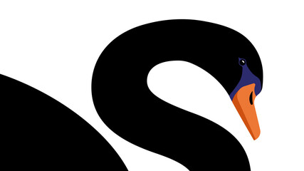 Black Swan. The symbol of the crisis of economic collapse. Fragment of a beautiful black bird. White background.