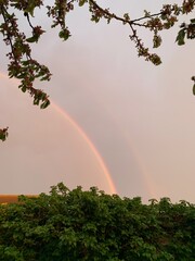 Regenbogen
