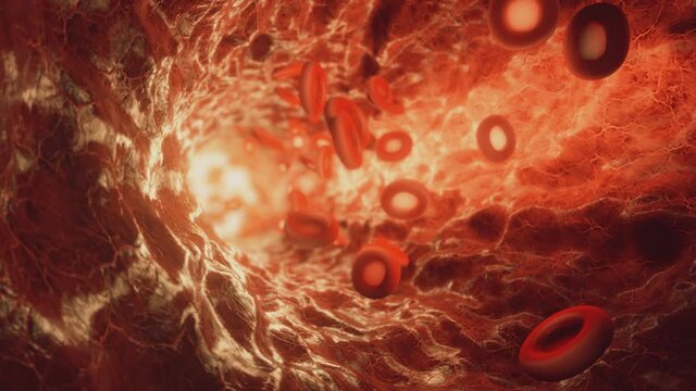 Red blood cells travelling through a blood vessel