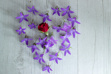 lilac flowers on wooden background