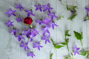 spring flowers on wooden background
