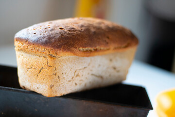 Freshly baked crusty loaf of homemade premium rye and wheat flour bread is getting cold on black metal form. Baking at home using sour dough. Horizontal closeup. Selective focus.