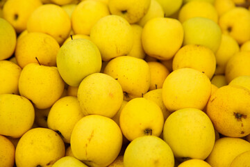 Yellow traditional caucasian sort of apples
