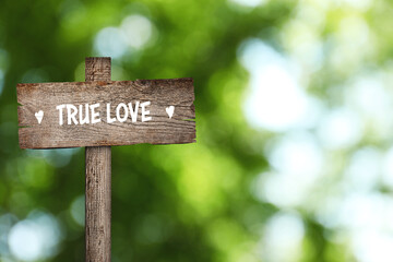 Wooden plaque with inscription True Love outdoors, space for text