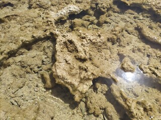 Stones in the beach