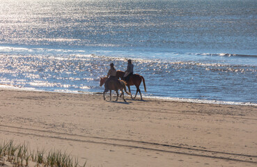 horse riders on North sea beach