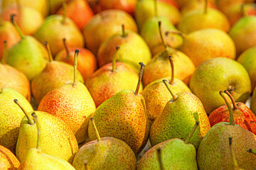 Yellow pears in the grocery stock