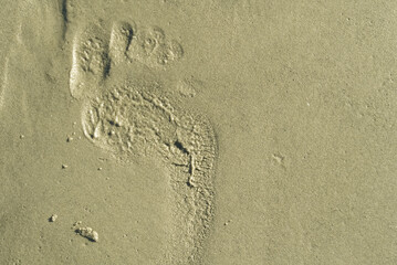 Fototapeta na wymiar footsteps on beach in sandy. Footsteps on the coral sandy beach. footprints in the sand.