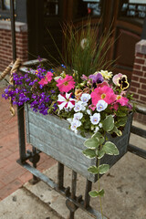 Metal planter box filled with a variety of flowers along Pearl Street Mall.  Boulder, Colorado, USA