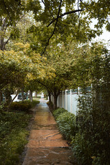 White wooden fence surrounded by lush foliage, along sidewalk in residential neighborhood.  Boulder, Colorado, USA