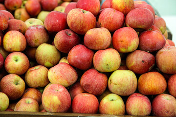 Fresh bavarian apples in the stock