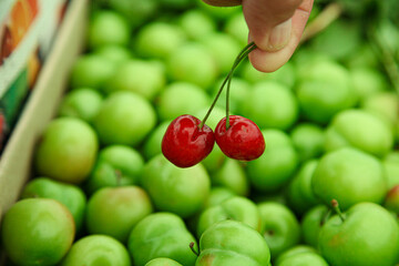 Red cherries with green sour cherry plums in the background