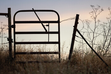 Cattle gate and barbed wire fence at sunset
