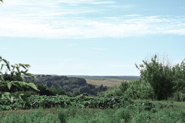 Beautiful summer landscape of nature countryside. Green vegetation of grass and trees with hills. Stock photo for design