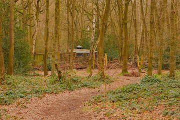 Landscape shot of an opening in the woods, with a cabin in the distance.