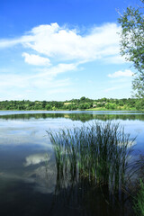 Beautiful river in a pretty area in Siberia. Landscape in Canada with a cold lake. Stock photo background.