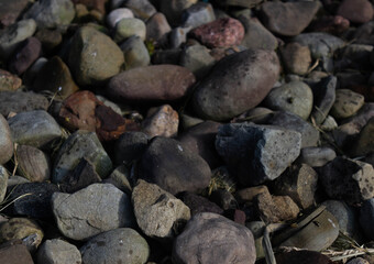 pebbles on the beach
