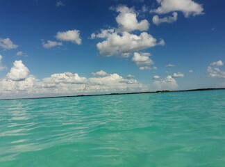 bacalar