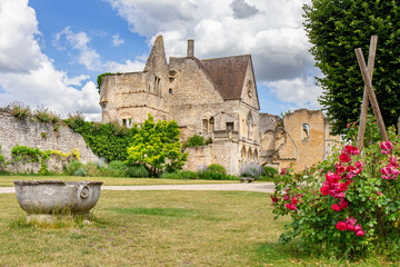 Senlis, ruines du château et cathédrale Notre-Dame